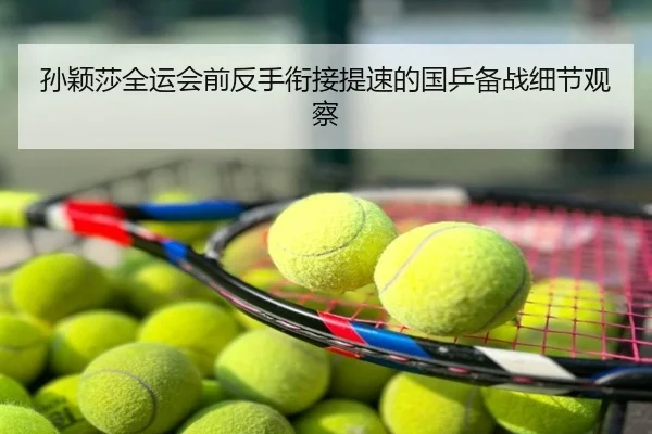 孙颖莎全运会前反手衔接提速的国乒备战细节观察