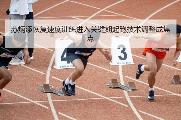 苏炳添恢复速度训练进入关键期起跑技术调整成焦点